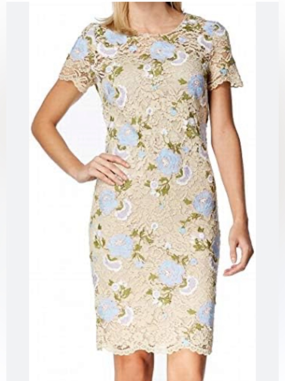 Calvin Klein 2 Tan & Opal Blue Floral Lace Embroidered Mesh Sheath Pencil Dress